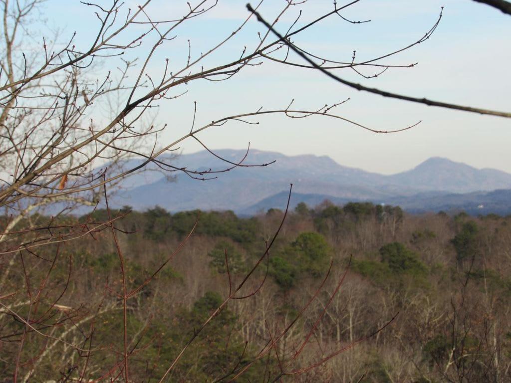 View! Cozy, Private, Fireplace, Hot Tub Log Cabin, Honeymoon! Sevierville Exterior photo