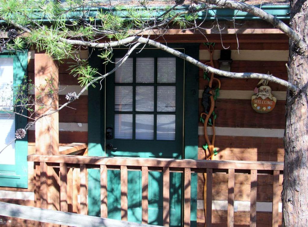 View! Cozy, Private, Fireplace, Hot Tub Log Cabin, Honeymoon! Sevierville Exterior photo